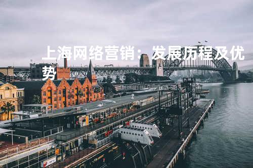 上海网络营销：发展历程及优势