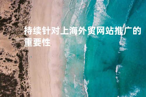 持续针对上海外贸网站推广的重要性