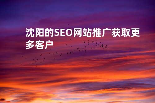 沈阳的SEO网站推广获取更多客户