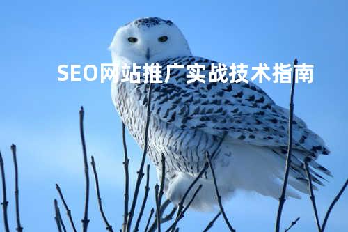SEO网站推广实战技术指南